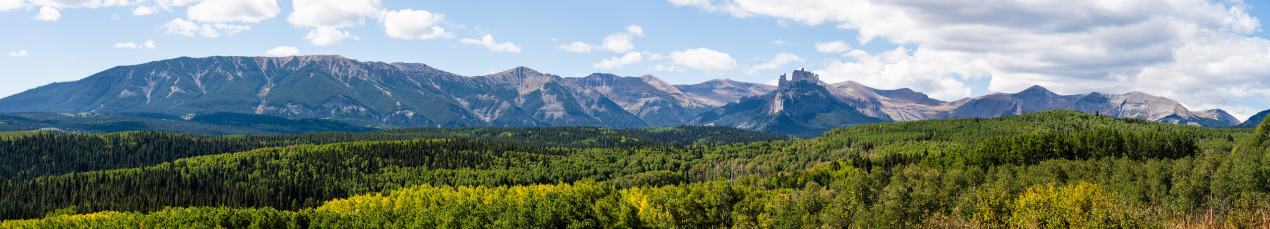 Panoramic Mountains & Trees